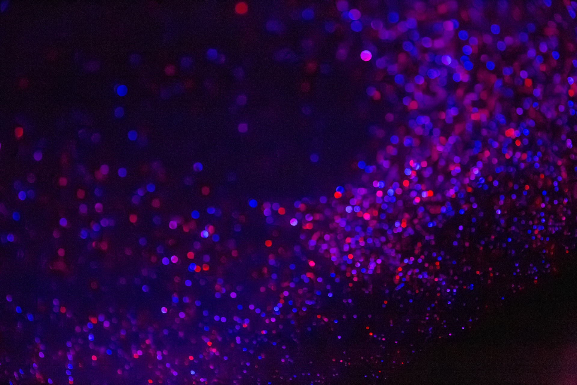 WHYNOT Campout forest vibes